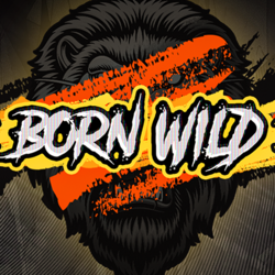 pawin88 HS slot Born Wild